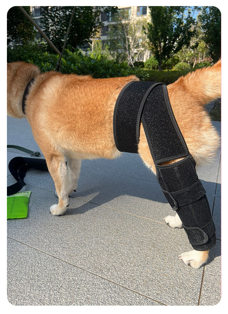 腿部护套详情