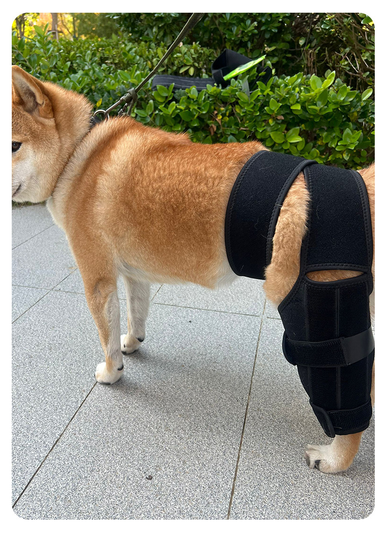 腿部护套详情