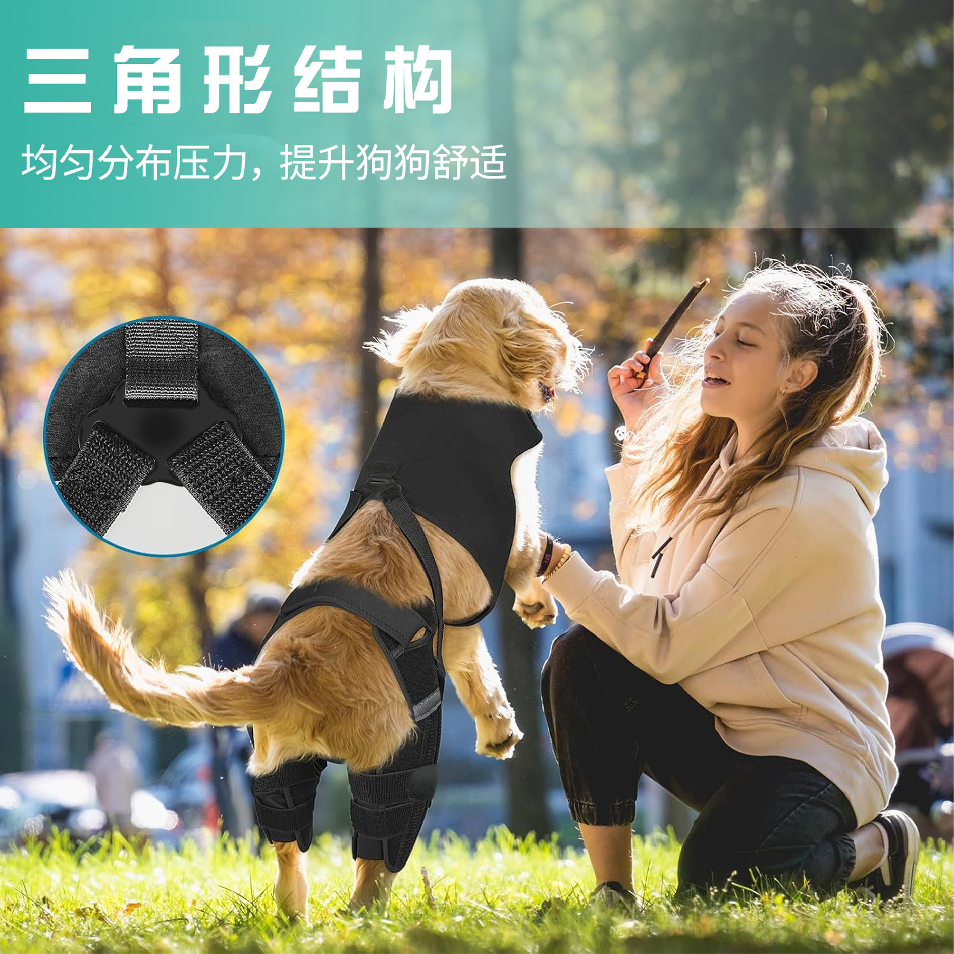 后肢双保护套详情