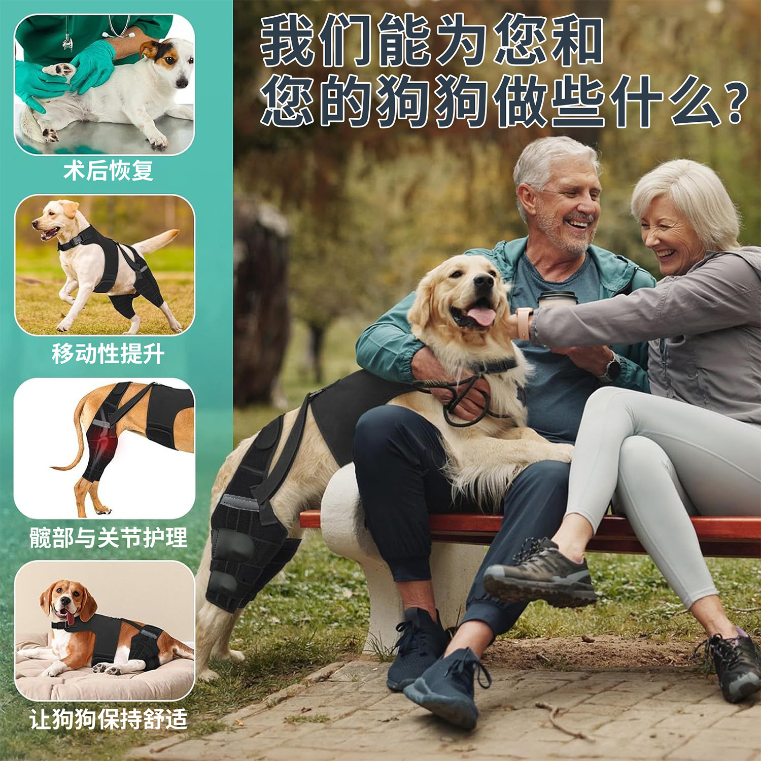 后肢双保护套详情