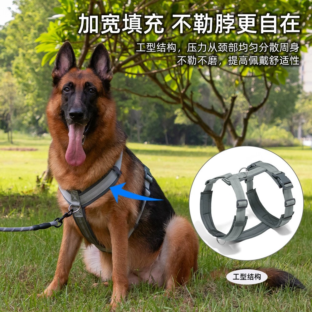 背面